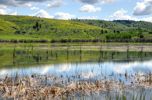 Sand creek, plein air Idaho